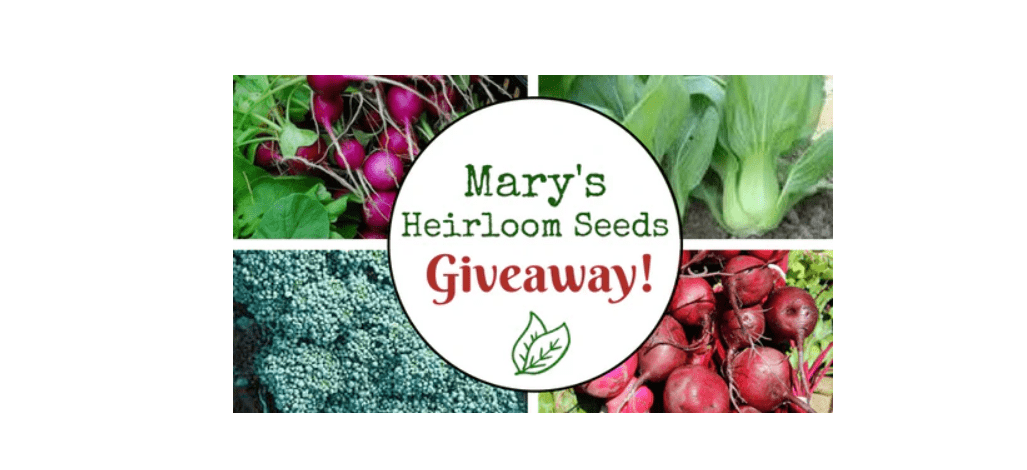 Mary's Heirloom Seeds Giveaway Sweepstakes