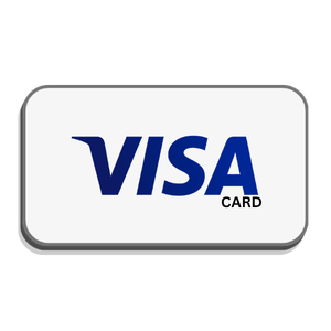 visa partner
